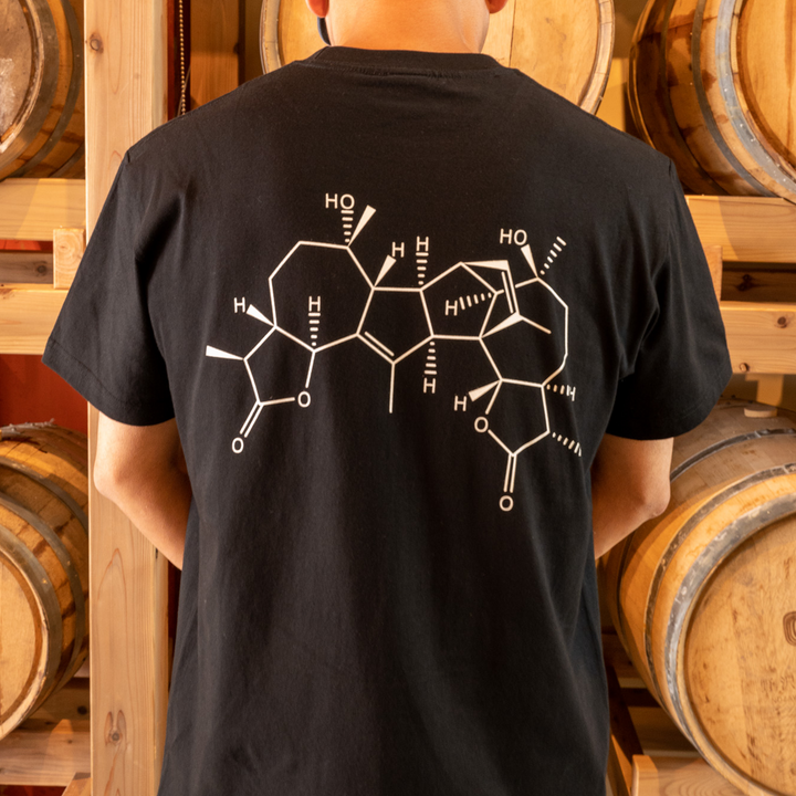 MAD SCIENTIST T-Shirt